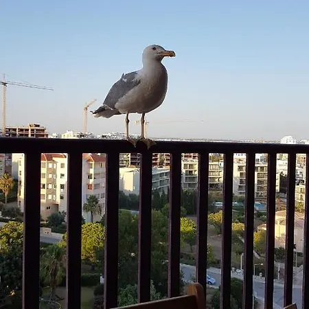 Appartement Da Rocha Confort *