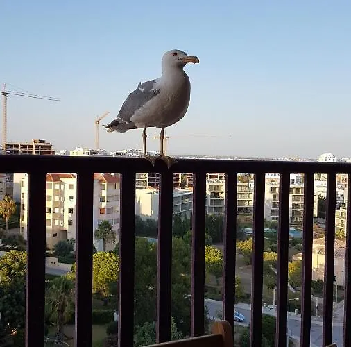 Appartement Da Rocha Confort *